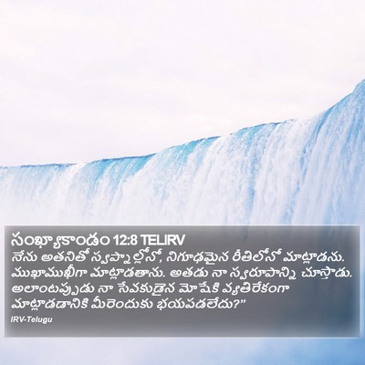 సంఖ్యాకాండం 12:8 TELIRV Bible Verse Image