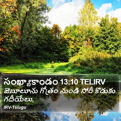 సంఖ్యాకాండం 13:10 TELIRV Bible Verse Image
