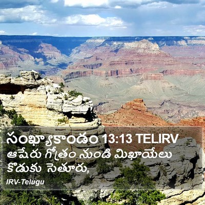 సంఖ్యాకాండం 13:13 TELIRV Bible Verse Image