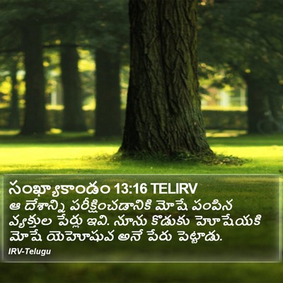 సంఖ్యాకాండం 13:16 TELIRV Bible Verse Image