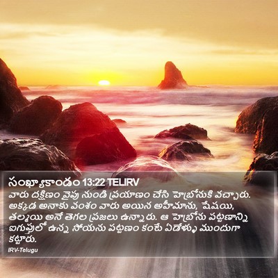 సంఖ్యాకాండం 13:22 TELIRV Bible Verse Image