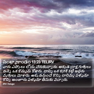 సంఖ్యాకాండం 13:23 TELIRV Bible Verse Image