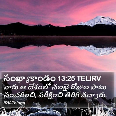 సంఖ్యాకాండం 13:25 TELIRV Bible Verse Image
