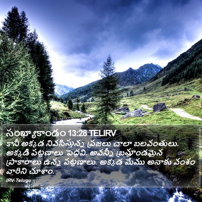 సంఖ్యాకాండం 13:28 TELIRV Bible Verse Image