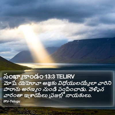 సంఖ్యాకాండం 13:3 TELIRV Bible Verse Image