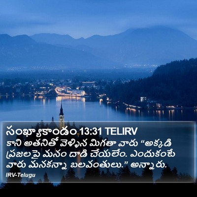 సంఖ్యాకాండం 13:31 TELIRV Bible Verse Image
