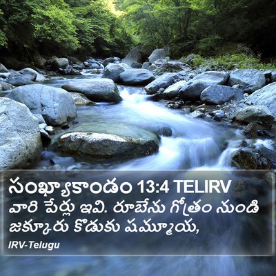సంఖ్యాకాండం 13:4 TELIRV Bible Verse Image