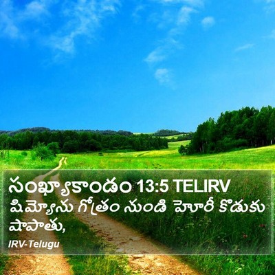 సంఖ్యాకాండం 13:5 TELIRV Bible Verse Image
