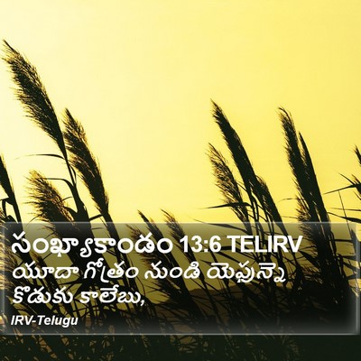 సంఖ్యాకాండం 13:6 TELIRV Bible Verse Image