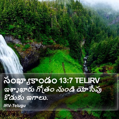 సంఖ్యాకాండం 13:7 TELIRV Bible Verse Image