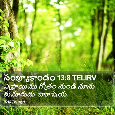 సంఖ్యాకాండం 13:8 TELIRV Bible Verse Image