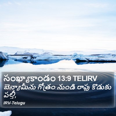 సంఖ్యాకాండం 13:9 TELIRV Bible Verse Image