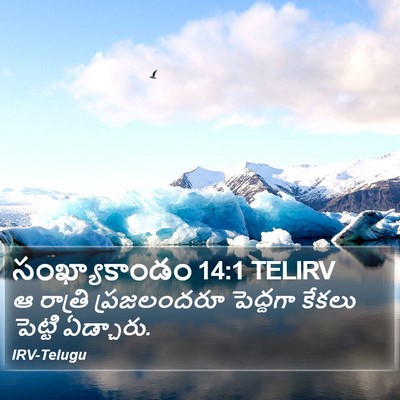 సంఖ్యాకాండం 14:1 TELIRV Bible Verse Image