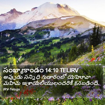 సంఖ్యాకాండం 14:10 TELIRV Bible Verse Image