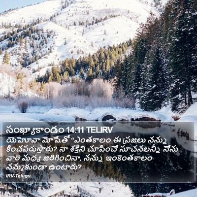 సంఖ్యాకాండం 14:11 TELIRV Bible Verse Image