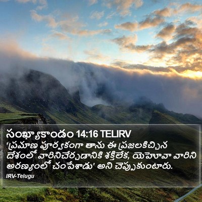 సంఖ్యాకాండం 14:16 TELIRV Bible Verse Image