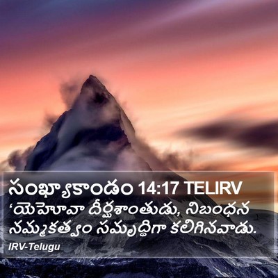 సంఖ్యాకాండం 14:17 TELIRV Bible Verse Image