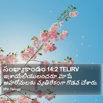 సంఖ్యాకాండం 14:2 TELIRV Bible Verse Image
