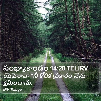సంఖ్యాకాండం 14:20 TELIRV Bible Verse Image