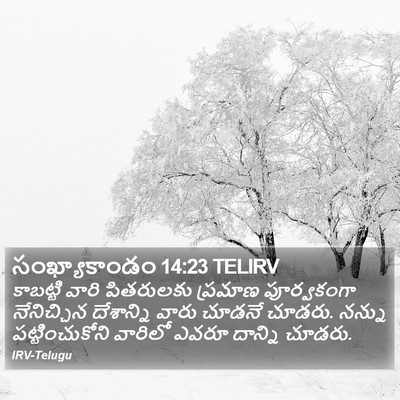 సంఖ్యాకాండం 14:23 TELIRV Bible Verse Image