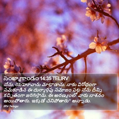 సంఖ్యాకాండం 14:35 TELIRV Bible Verse Image