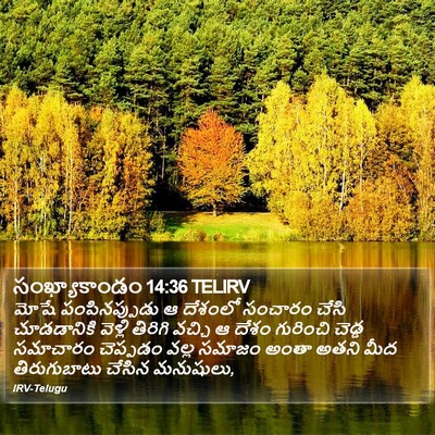 సంఖ్యాకాండం 14:36 TELIRV Bible Verse Image