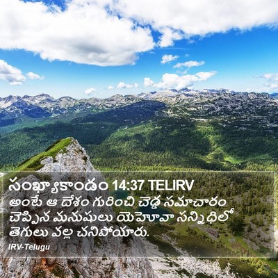 సంఖ్యాకాండం 14:37 TELIRV Bible Verse Image
