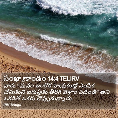 సంఖ్యాకాండం 14:4 TELIRV Bible Verse Image