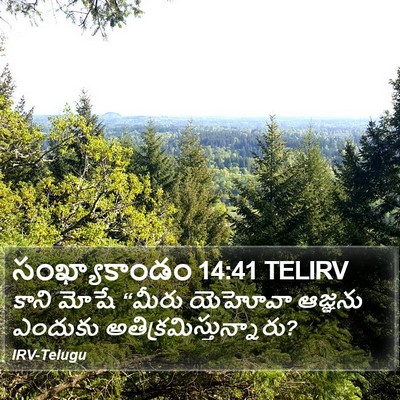 సంఖ్యాకాండం 14:41 TELIRV Bible Verse Image