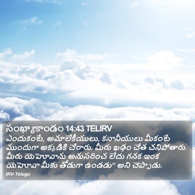 సంఖ్యాకాండం 14:43 TELIRV Bible Verse Image