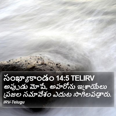 సంఖ్యాకాండం 14:5 TELIRV Bible Verse Image