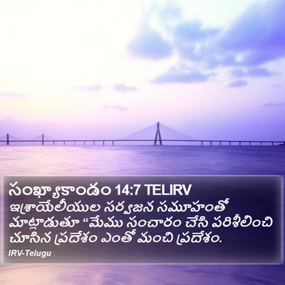 సంఖ్యాకాండం 14:7 TELIRV Bible Verse Image