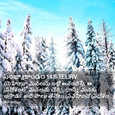 సంఖ్యాకాండం 14:8 TELIRV Bible Verse Image