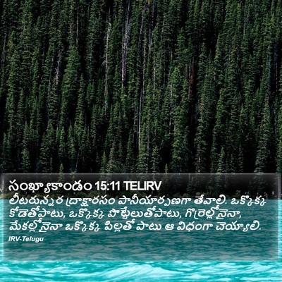 సంఖ్యాకాండం 15:11 TELIRV Bible Verse Image