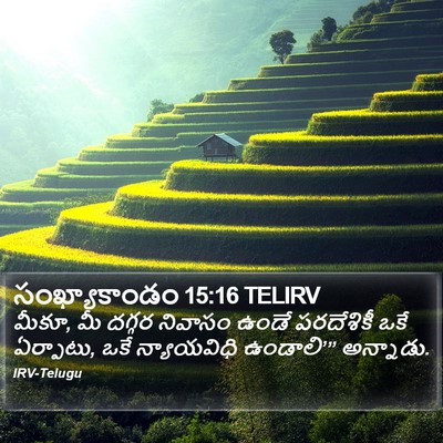 సంఖ్యాకాండం 15:16 TELIRV Bible Verse Image