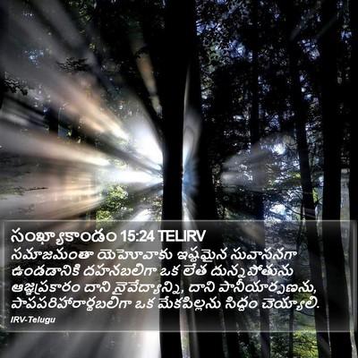 సంఖ్యాకాండం 15:24 TELIRV Bible Verse Image