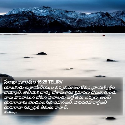 సంఖ్యాకాండం 15:25 TELIRV Bible Verse Image