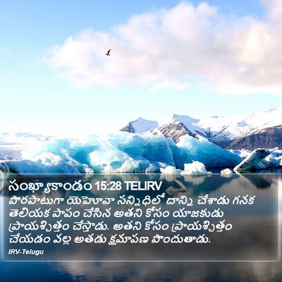 సంఖ్యాకాండం 15:28 TELIRV Bible Verse Image