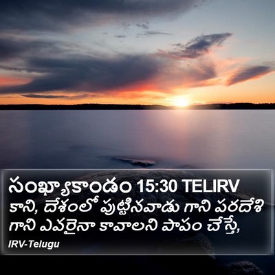 సంఖ్యాకాండం 15:30 TELIRV Bible Verse Image