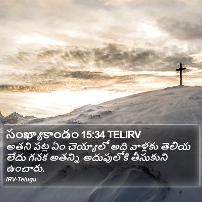సంఖ్యాకాండం 15:34 TELIRV Bible Verse Image