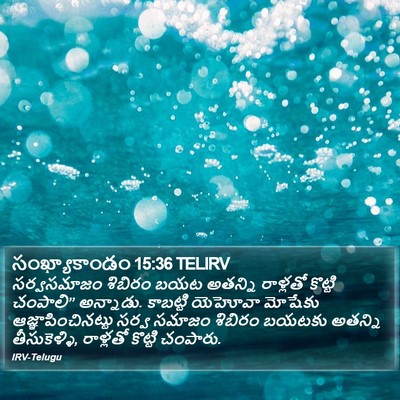 సంఖ్యాకాండం 15:36 TELIRV Bible Verse Image