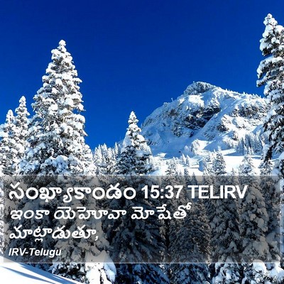 సంఖ్యాకాండం 15:37 TELIRV Bible Verse Image