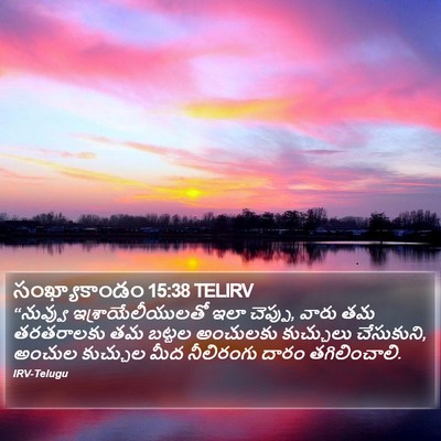 సంఖ్యాకాండం 15:38 TELIRV Bible Verse Image