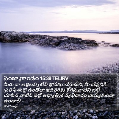 సంఖ్యాకాండం 15:39 TELIRV Bible Verse Image