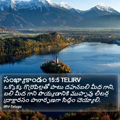 సంఖ్యాకాండం 15:5 TELIRV Bible Verse Image