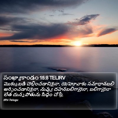 సంఖ్యాకాండం 15:8 TELIRV Bible Verse Image