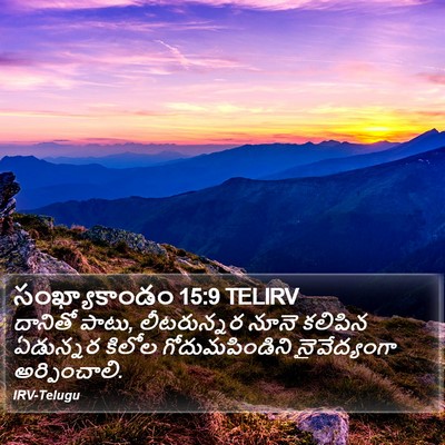 సంఖ్యాకాండం 15:9 TELIRV Bible Verse Image
