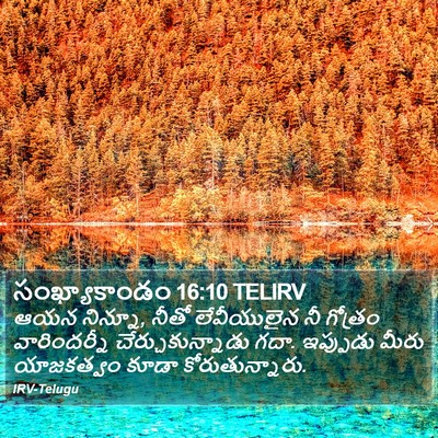 సంఖ్యాకాండం 16:10 TELIRV Bible Verse Image