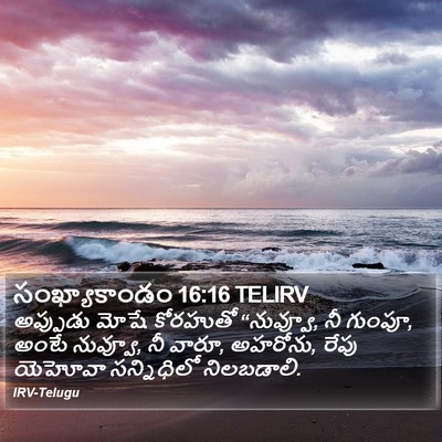 సంఖ్యాకాండం 16:16 TELIRV Bible Verse Image