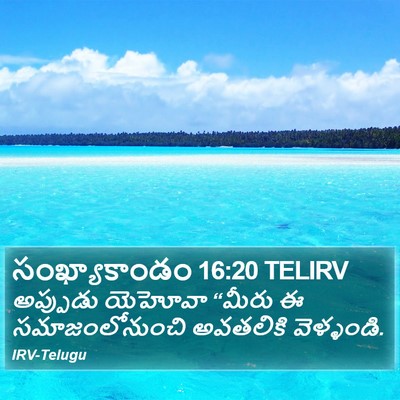 సంఖ్యాకాండం 16:20 TELIRV Bible Verse Image